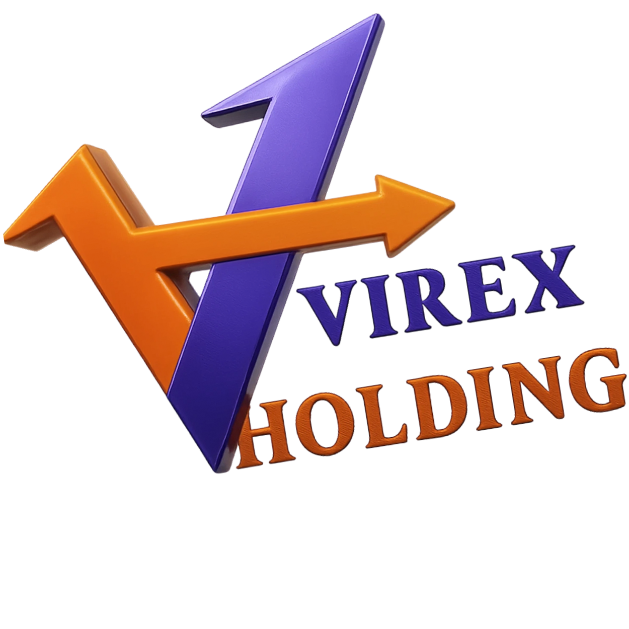 Virex Holding SpA